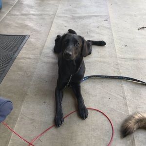 Meet your Posher, Susan